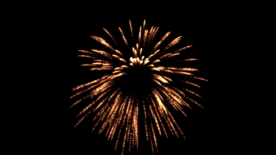 Free News Video Clips, Firework, Sea Urchin, Fireworks, Echinoderm, Night