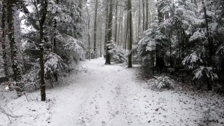 Free Night Stock Footage, Snow, Weather, Winter, Ice, Cold