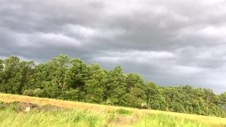 Free No Copyright Footage, Field, Rural, Meadow, Grass, Landscape