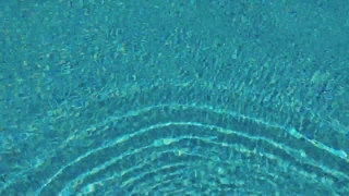 Free No Copyright Long Video Download, Pattern, Texture, Water, Coral Reef, Transparent