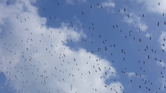 Free No Copyright Time Lapse Video, Sky, Atmosphere, Weather, Sun, Clouds