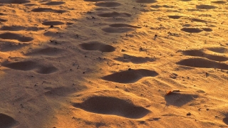 Free No Copyright Video Clips No Cost, Sand, Soil, Dune, Earth, Desert