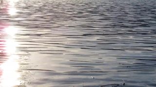 Free No Copyright Video Hd, Water, Ocean, Reflection, Lake, Sea