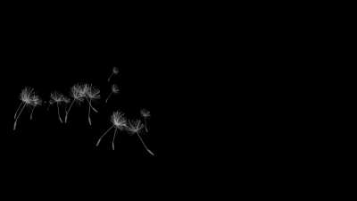 Free No Copyright Video Site, Art, Light, Dandelion, Firework, Pattern