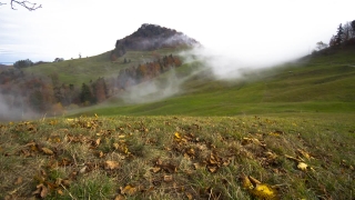 Free No Copyright Videos On Youtube, Gorse, Landscape, Field, Meadow, Highland