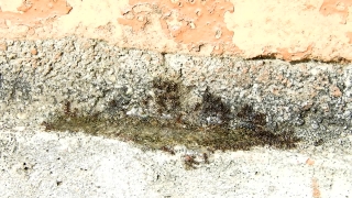 Free No Vlog Copyright, Stucco, Grunge, Dirty, Old, Wall