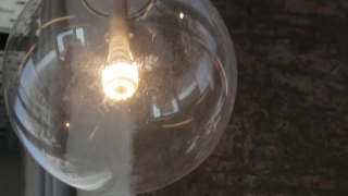 Free Particle Footage, Aquarium, Glass, Light Bulb, Electric Lamp, Wineglass