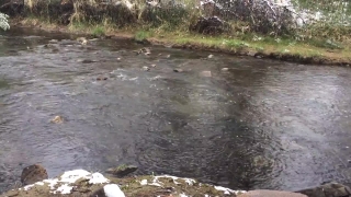 Free Pond5 Stock Footage Download, River, Spring, Hot Spring, Water, Channel