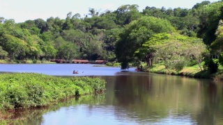 Free Portrait Stock Videos, Tree, Water, Lake, Landscape, River