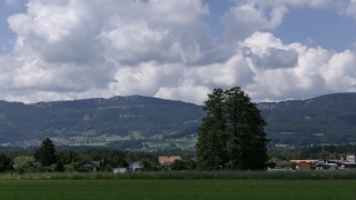 Free Pre Keyed Footage, Tree, Grass, Sky, Landscape, Highland