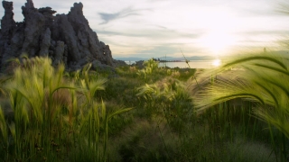 Free Presentation Background, Landscape, Sky, Grass, Rural, Summer