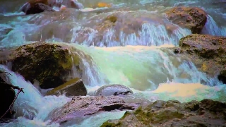 Free Quran Stock Footage, Waterfall, River, Stream, Water, Rock