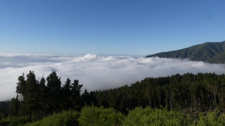 Free Rain Stock Video, Sky, Landscape, Range, Tree, Forest