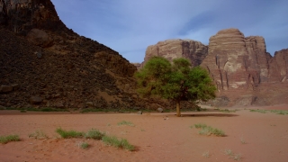 Free Running Stock Footage, Desert, Rock, Canyon, Landscape, Mountain