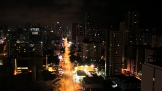 Free Seagull Stock Footage, Business District, City, Night, Skyscraper, Skyline