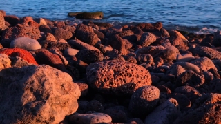 Free Slides Background, Sea, Ocean, Water, Echinoderm, Beach