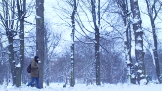 Free Stadium Crowd Stock Footage, Snow, Weather, Winter, Forest, Tree