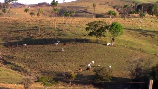 Free Stock Footage Hd 1080p, Landscape, Field, Grass, Rural, Sky