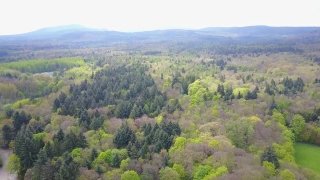 Free Stock Footage Model, Wilderness, Tree, Landscape, Mountain, Woody Plant