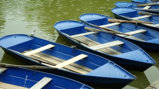 Free Stock Footage, Paddle, Oar, Boat, Water, Blade