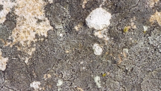 Free Stock Footage Videos, Stone, Texture, Surface, Rough, Pattern