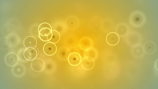 Free Stock Video 4k, Light, Design, Bubbles, Circle, Bright