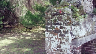 Free Stock Video Creative Commons, Stone Wall, Tree, Fence, Landscape, Mountain