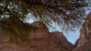 Free Stock Video Footage, Canyon, Cliff, Landscape, Mountain, Park