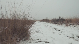 Free Stock Video Footage Hd Download, Snow, Weather, Winter, Cold, Landscape