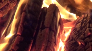 Free Stock Video Library, Fire, Fireplace, Flame, Heat, Butcher Shop