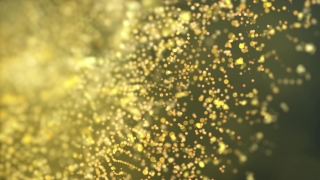 Free Stock Video Search, Texture, Pattern, Design, Backdrop, Pollen