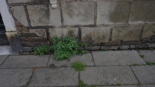 Free Stock Video Snow, Wall, Brick, Texture, Stone, Old