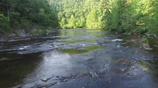 Free Storyblocks Footage, River, Forest, Body Of Water, Water, Landscape