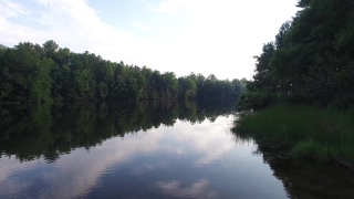 Free Synthwave Stock Footage, Forest, Lake, Land, Landscape, Swamp