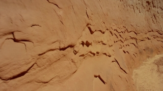 Free Tiger Stock Footage, Sand, Dune, Soil, Old, Texture