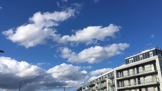 Free Tree Stock Video, Sky, Atmosphere, Clouds, Weather, Cloud