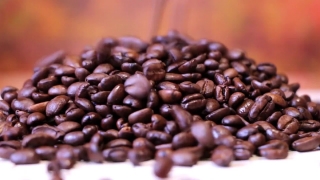 Free Tv Stock Footage, Common Bean, Coffee, Bean, Beans, Caffeine