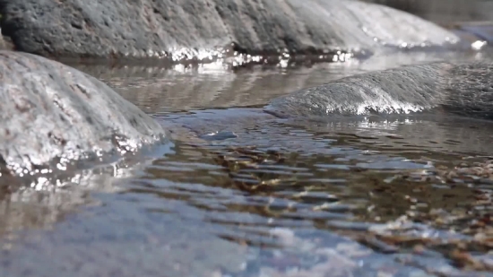 Free Video Background Loops Download, Water, Bird, Ice, Sea, Ocean