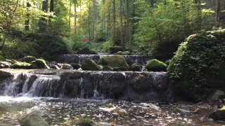 Free Video Background Music Download, Forest, River, Water, Landscape, Stream