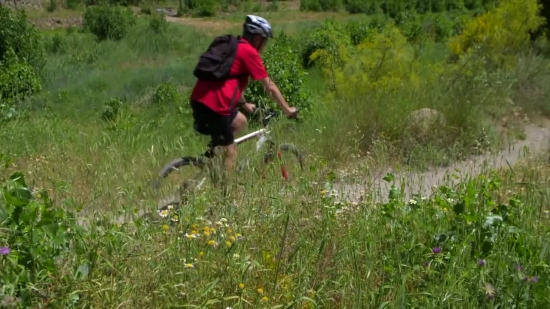 Free Video Footage No Copyright, Ascent, Outdoors, Farmer, Slope, Grass