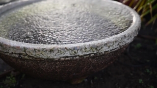 Free Video Footage No Copyright, Mortar, Flour, Pestle, Stone, Vessel