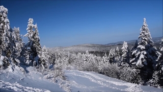 Free Video Footage No Copyright, Mountain, Snow, Alp, Winter, Slope