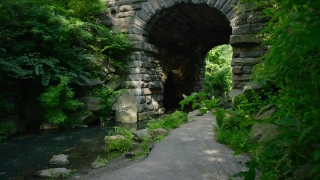 Free Video For Background Website, Tunnel, Passageway, Passage, Stone, Way