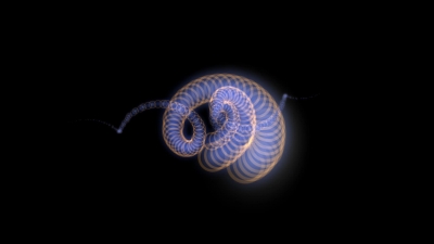 Free Video Game Stock Footage, Coil, Structure, Mollusk, Chambered Nautilus, Invertebrate