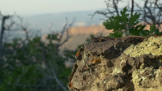 Free Video No Copyright Youtube, Knoll, Landscape, Tree, Sky, Rock