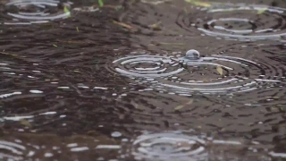 Free Video Stock Library, Maze, Water, Liquid, Rain, Drop