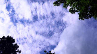 Free Visually Similar Stock Footage, Sky, Atmosphere, Clouds, Weather, Cloud