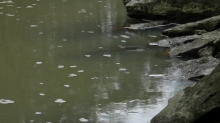 Free Walking Stock Footage, Channel, Water, Body Of Water, River, Landscape