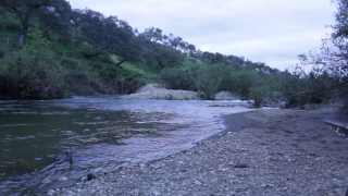 Free Without Copyright Video Website, River, Stream, Landscape, Water, Body Of Water