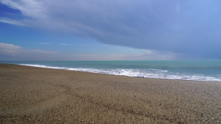 Free Wolf Stock Footage, Beach, Sand, Ocean, Sea, Coast